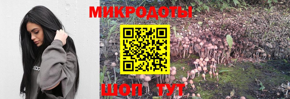 Псилоцибиновые грибы Psilocybe  Псилоцибиновые грибы прущие грибы  Вход с VPN  Мценск 
